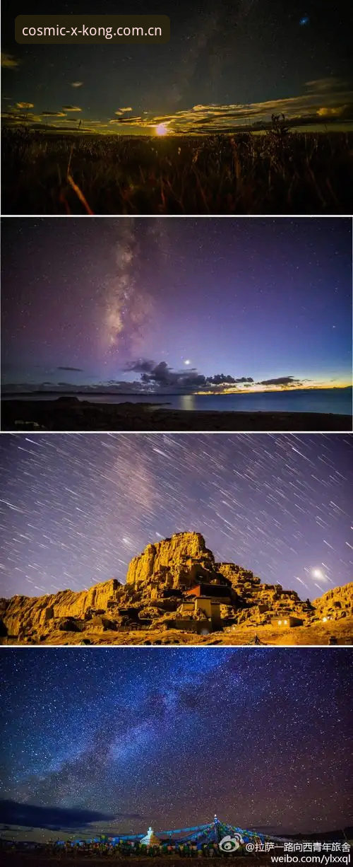 星空平台星辉版入口对比完整指南：从安装到数据追踪实战