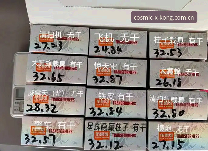 星辉版入口 XINGKONG对比 星辉版入口 XINGKONG对比:新手踩坑实录 vs. 正确打开方式